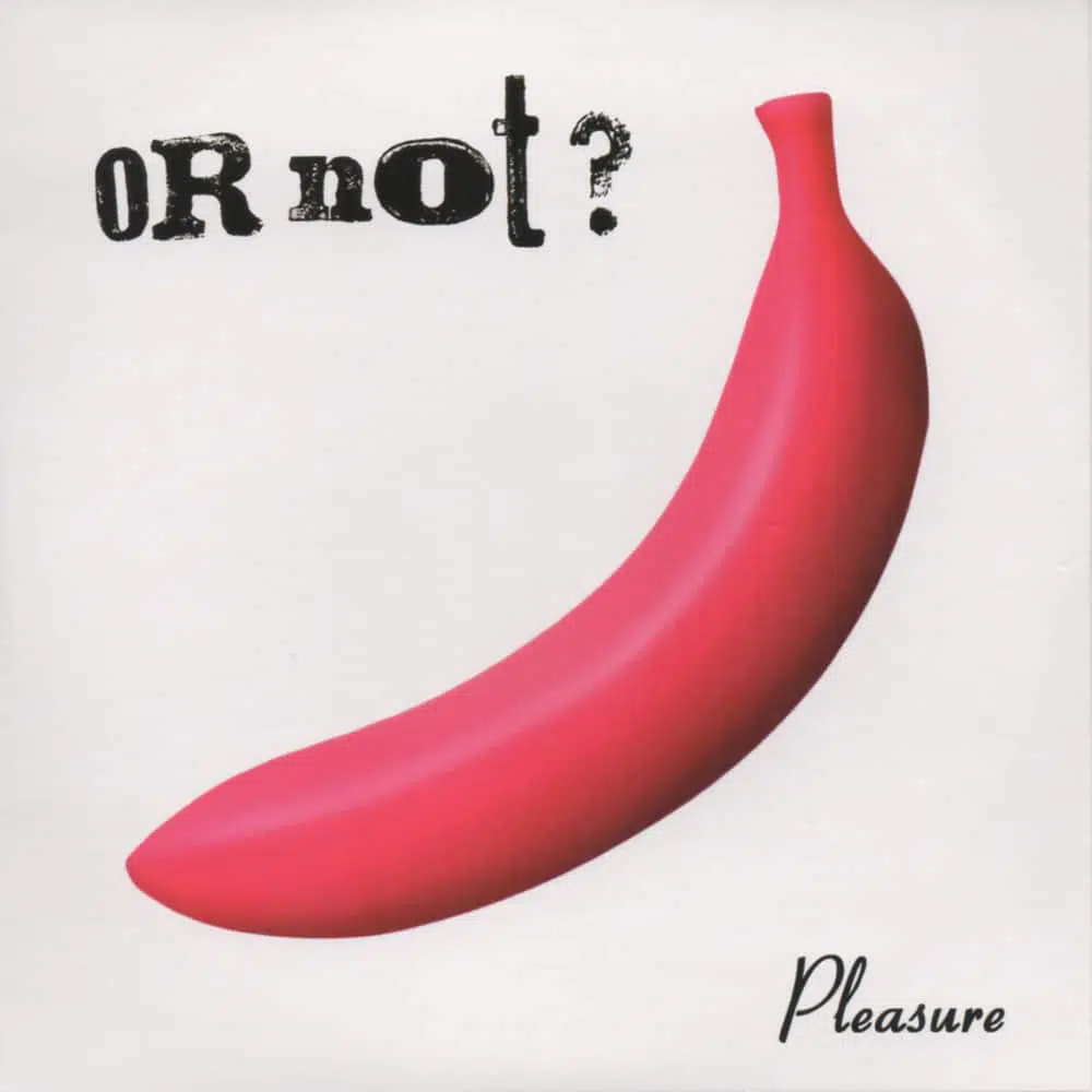 OR NOT - Pleasure EP Job done: Mastered